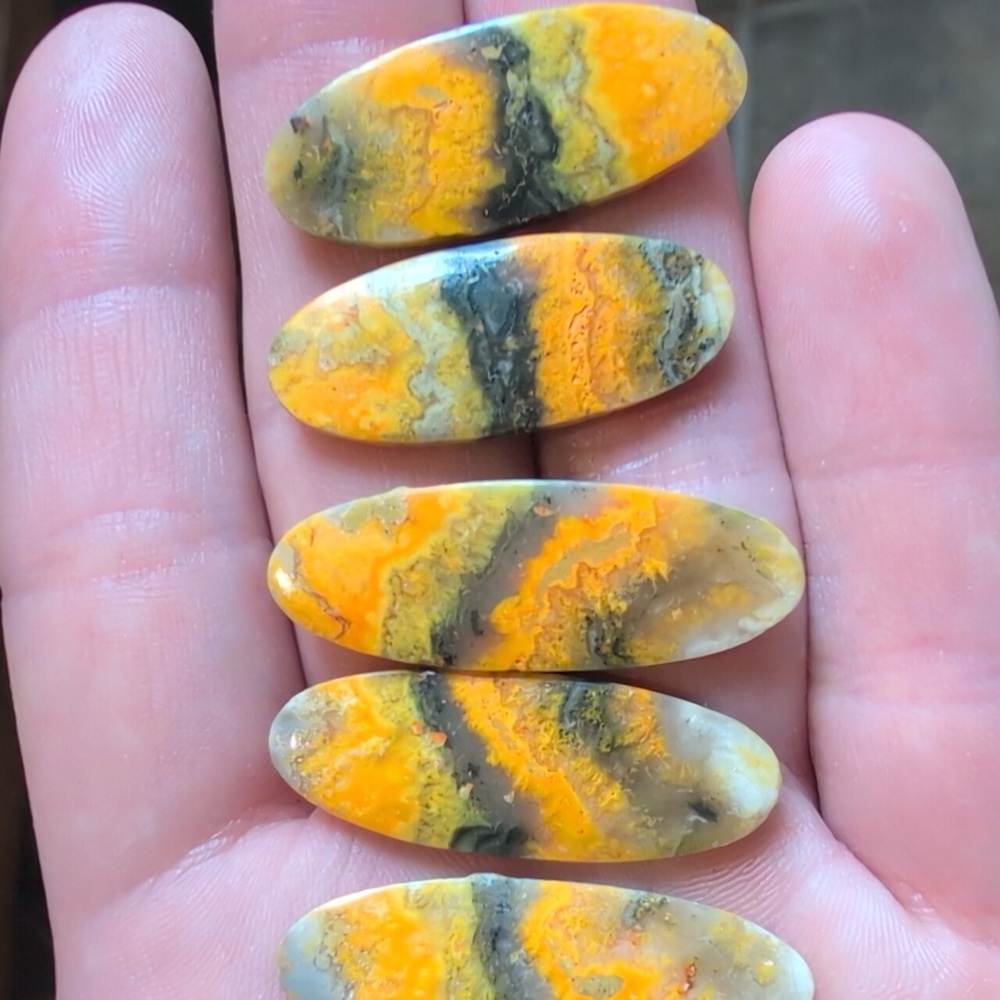 Bumblebee Jasper - Picture 3 of 3